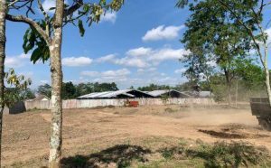 Cara membedakan tanah urug dengan urugan tanah adalah dari proses pelaksanaan pekerjaan